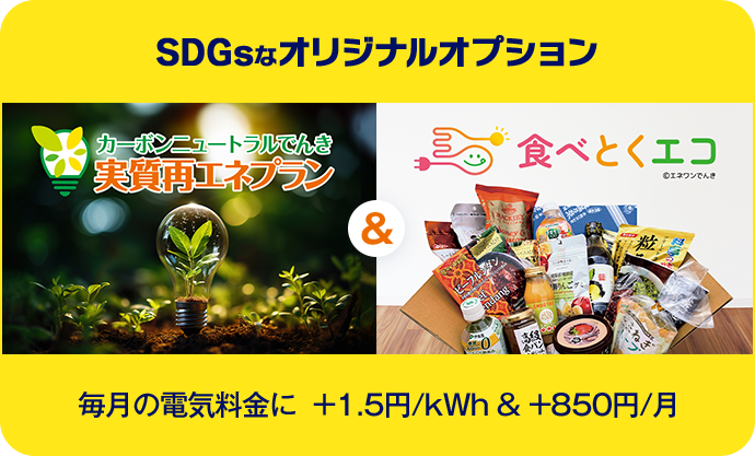 SDGsなオリジナルオプション 毎月の電気料金に +1.5円/kWh & +850円/月