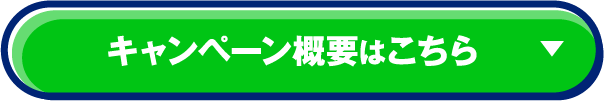 キャンペーン概要はこちら