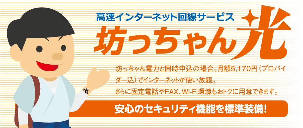 高速インターネット回線サービス 坊っちゃん光 高速インターネット回線サービス 坊っちゃん光